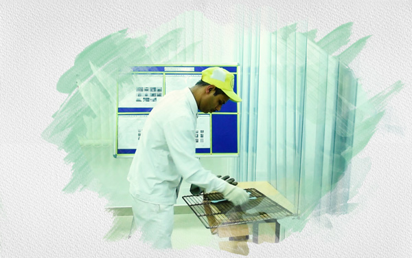 Leakless Gasket India (LGI)